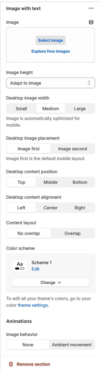 Customization options of a template section